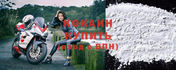 крисы Армянск