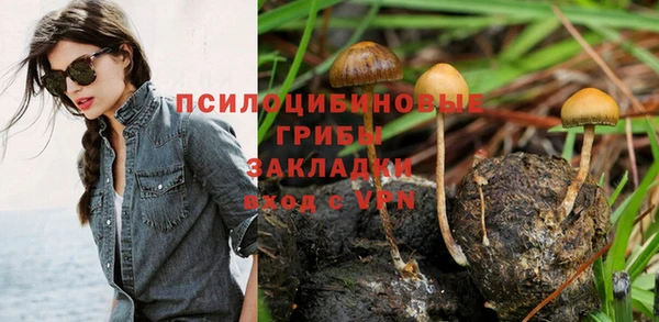 спайс Аркадак