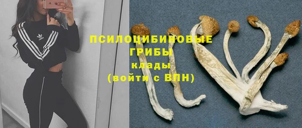 крисы Армянск
